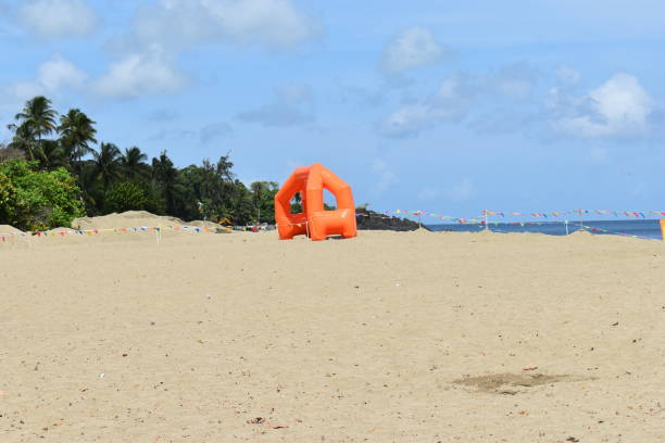 istock Turtle Beach, Tobago, West indies. 2150453453
