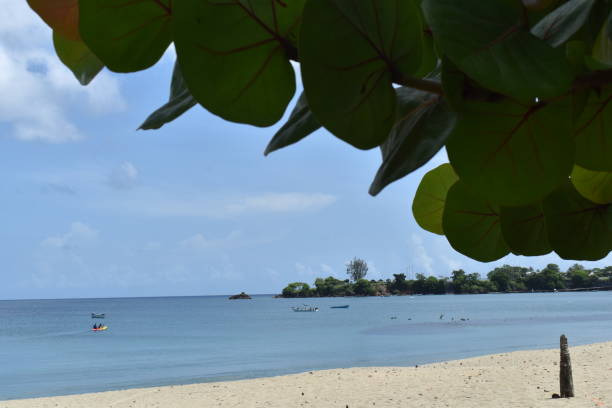istock Turtle Beach, Tobago, West indies. 2150453642