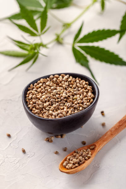 istock Hemp seeds and leaves 2150455204