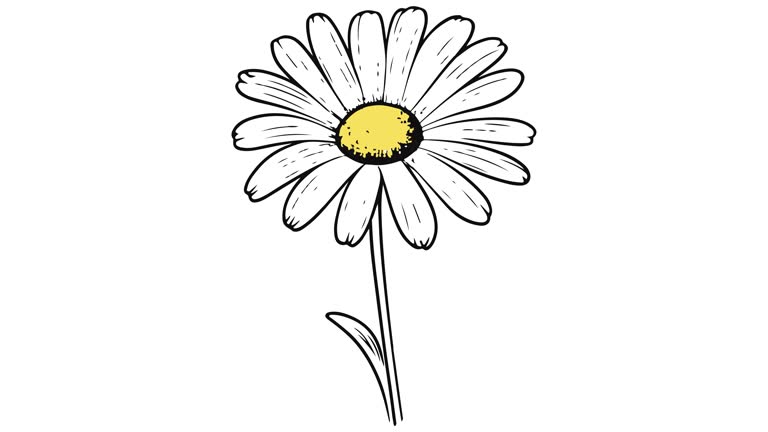 Animated Chamomile is vintage flower, Ideal for Graphic Design
