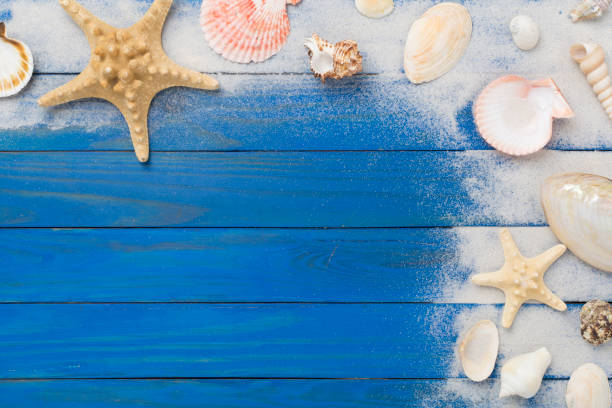 istock Sea shells, starfish and sand on wooden background, top view 2150456501