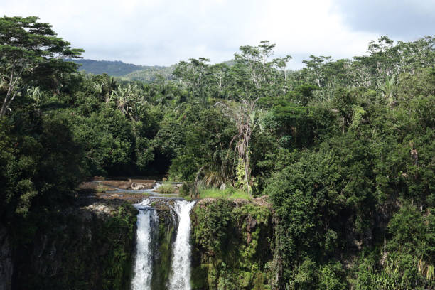 istock Chamarel Waterfall, Mauritius, Indian Ocean, Africa 2150456897