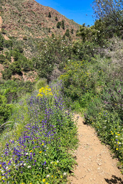 istock Trail to waterfalls over river Caballos 2150457545