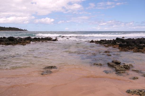 Sunny and sandy horseshoe shaped Anahola Beach on the island of Kauai, Hawaii.  Showing the horizon over water of the Pacific Ocean with the waves rolling onto shore dotted with lava rocks, coral and drift wood.