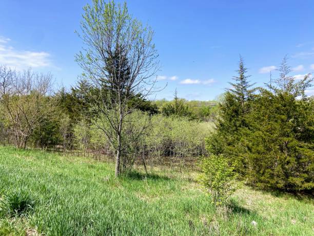 istock Standing Bear Lake in Omaha, Nebraska 2150458199
