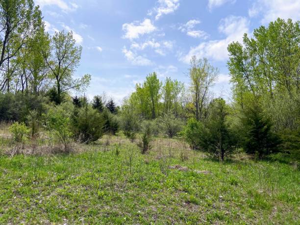 istock Standing Bear Lake in Omaha, Nebraska 2150458260