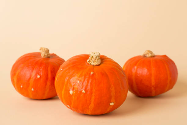 istock Orange pumpkins with autumn decor on color background 2150458271