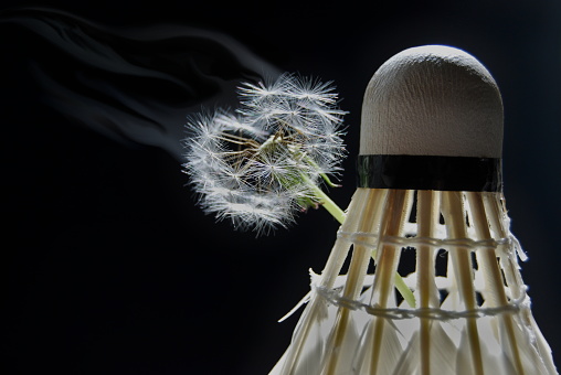 ‎The outline of a dandelion indicates a love of badminton.