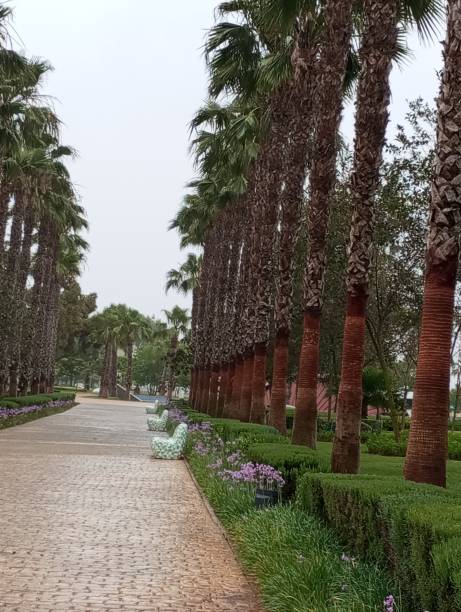 istock Hassan II park in Rabat Morocco 2150468758