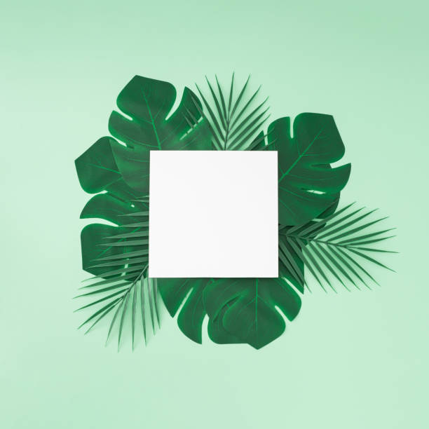 istock Creative layout made with green tropical palm and monstera leaves and paper card note copy space on pastel green background. Minimal summer concept. Nature flat lay. Summer aesthetic. 2150470428