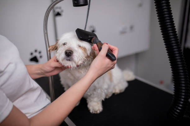 istock Enjoying the treatment. 2150471028