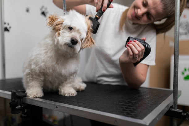 istock Enjoying the treatment. 2150471034