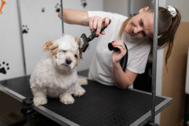 istock Enjoying the treatment. 2150471038