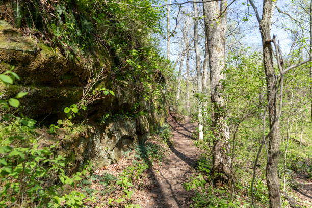 istock Trail in woodlands 2150471772