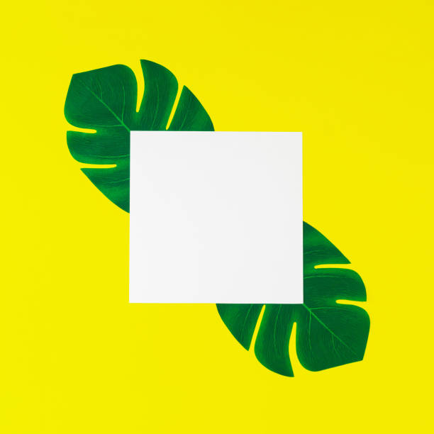 istock Creative layout made with green tropical leaves and paper card note copy space on yellow background. Minimal summer concept. Nature flat lay. Summer aesthetic. 2150472752