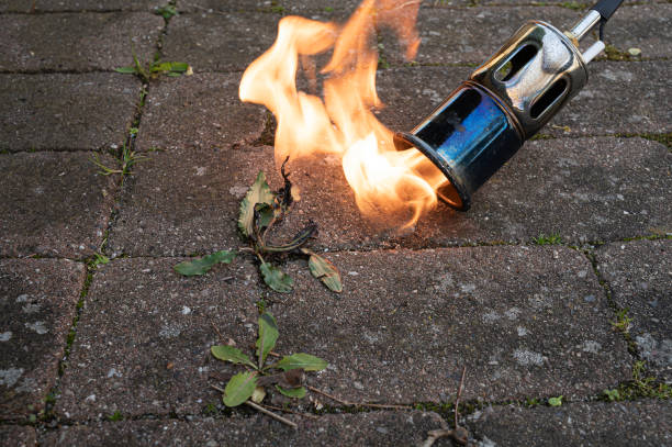 weed burner burns weeds on concrete slabs, Denmark, April, 27, 2024