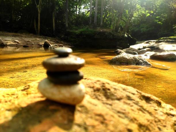 Naturalistic Reiki natural balance