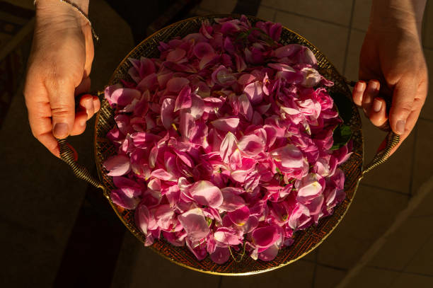 istock Pink roses stuffed on a tray. 2150481650