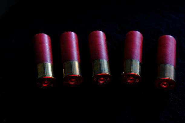 Shotgun shells on a black surface. Ammunition for 12 gauge smoothbore weapons. Hunting ammunition. Dark background
