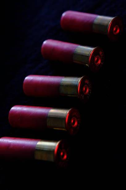 Shotgun shells on a black surface. Ammunition for 12 gauge smoothbore weapons. Hunting ammunition. Dark background