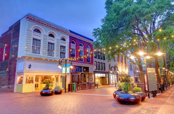 istock Downtown Mall in Charlottesville, Virginia 2150482986