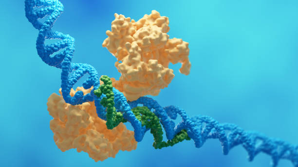 CRISPR-Cas9 gene editing technology stock photo