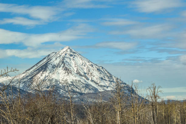 The mountains of Alaska begin to shed their winter snow and put on their new growth. Traveling through Alaska, visitors will see many beautiful scenes such as this. Alaska is a state full of many scenic opportunities.