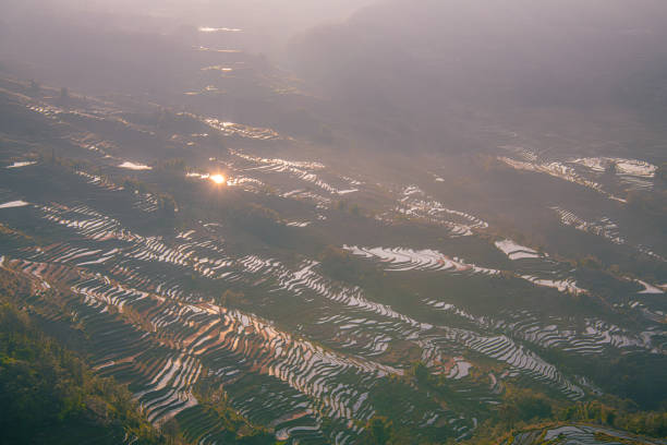 The rice terraces at Bada site in Yuanyang county, China. Bada Rice Terraces cover an area of 950 hectare with over 3700 levels, rising up from 800 meters to 2000 meters