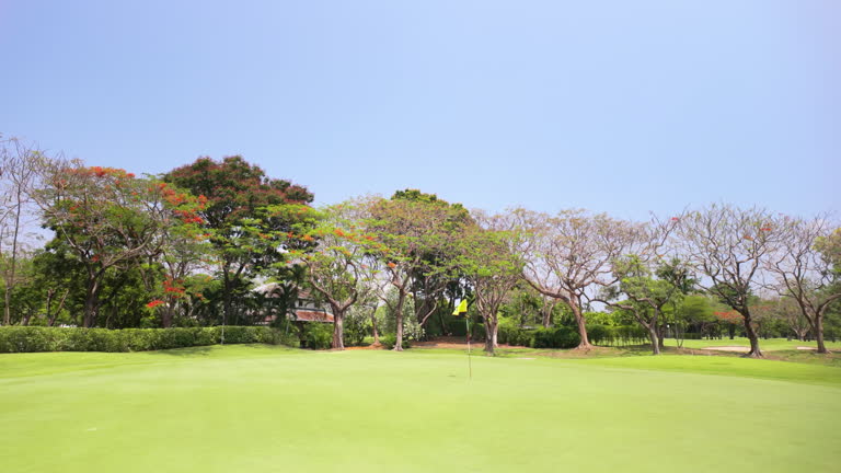 Amidst the beautiful green landscape of a golf course, a corridor of pristine grass weaves its route through the field, while sand bunkers punctuate the terrain. This harmonious blend of sport and health unfolds under the radiant daytime sun.golf course.