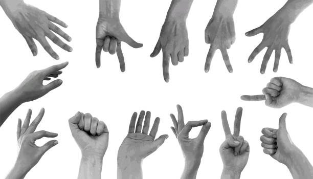 istock Collection of trendy hands gesture signs 2150502406