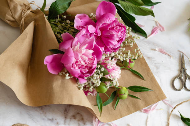 istock pink persian buttercup flowers in hands. Curly peony ranunculus. Empty spase 2150504277