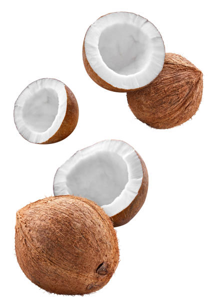 istock Ripe whole coconut half isolated on white background 2150506083