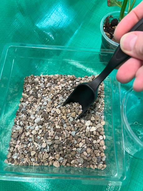 istock A woman's hand holds a small scoop in a container with mineral soil for plants. 2150506986
