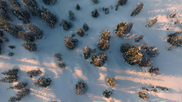 istock Bird's-eye view of snow covered forest 2150508548