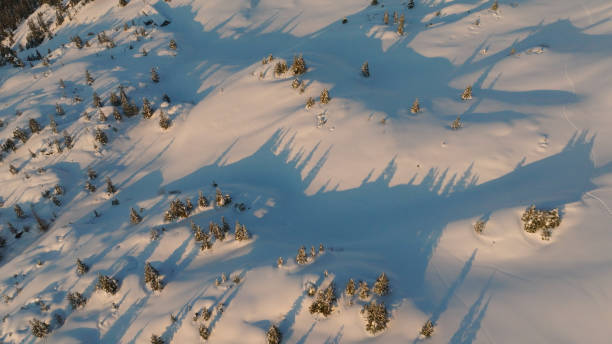 istock Bird's-eye view of snow covered forest 2150508549