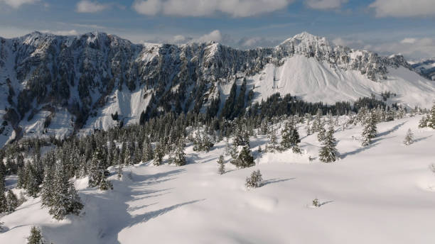 istock Fresh powder snow covers forest and mountains 2150508745