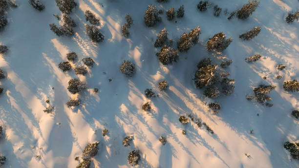 istock Bird's-eye view of snow covered forest 2150508747