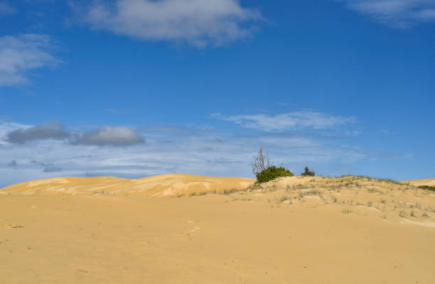 istock Hike through the sand dunes to Tin City 2150509620