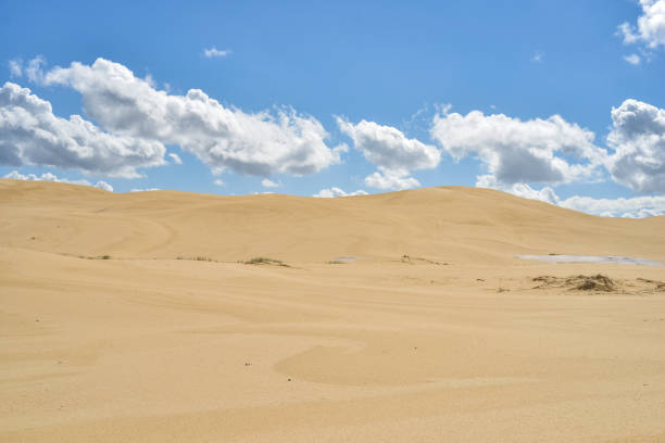 istock Hike through the sand dunes to Tin City 2150510640