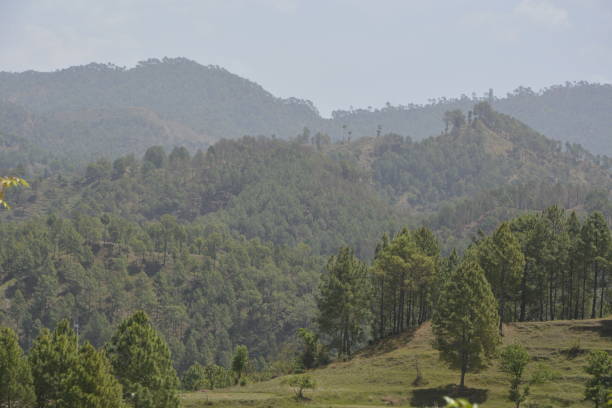 istock Hills and natural beauty 2150511215
