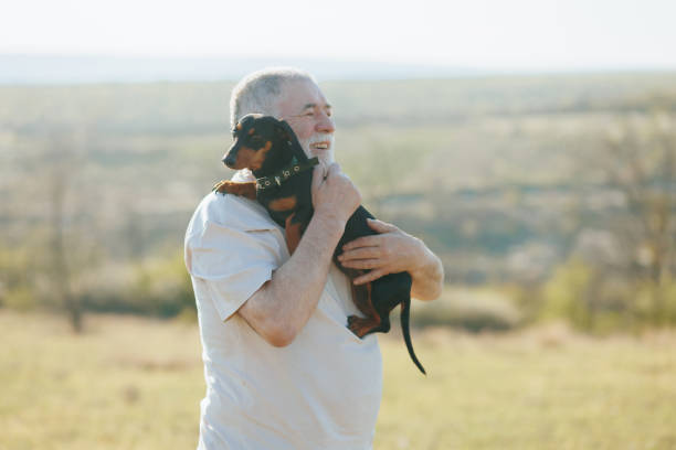 As the day draws to a close, an older man and his pet dachshund embrace the peacefulness of the field at sunset, united in their bond.