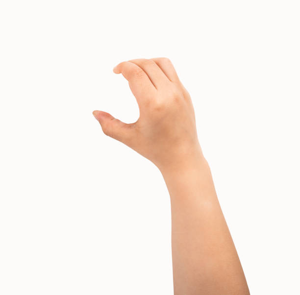 istock child hand holding something on a white background 2150523562