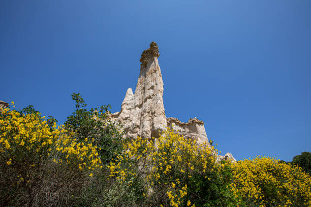 Rock formation Les Orgues Franc wit blooming ginster