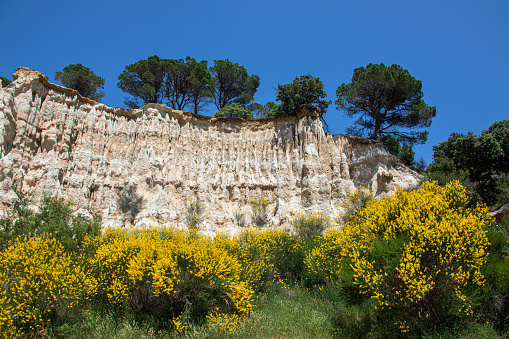 Rock formation Les Orgues Franc wit blooming ginster