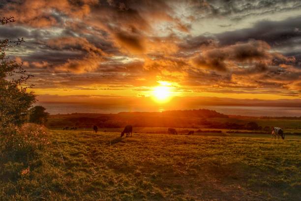 istock South Ayrshire, Scotland 2150527564