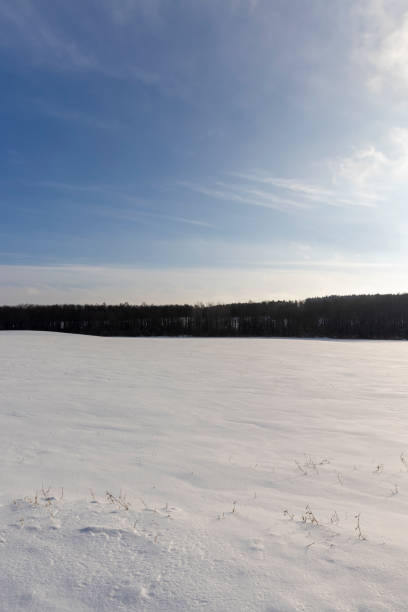 drifts of white snow in sunny weather, beautiful fresh snow after a snowfall in clear weather
