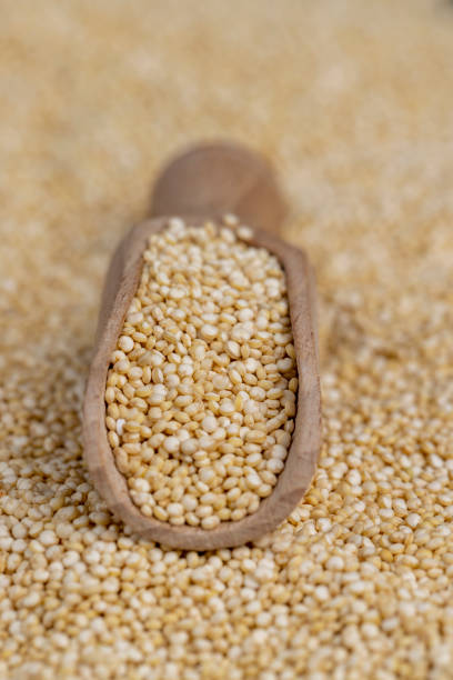 istock quinoa grain for cooking healthy porridge 2150528100
