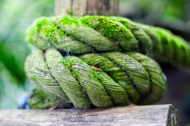 Close-up van dikke, oude en groene kleur schip touw