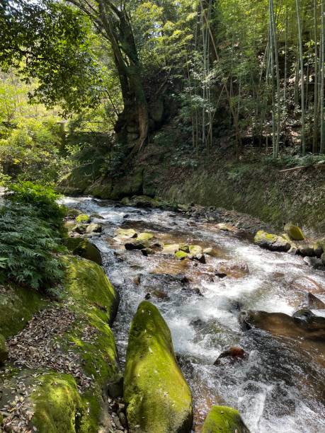 istock The river view in Yugawara 2150534282
