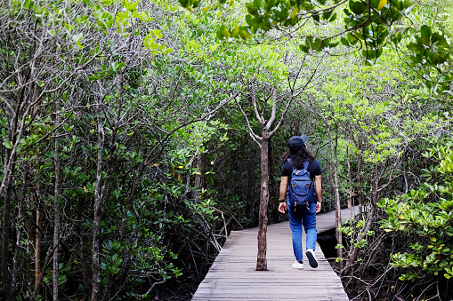 Asian young woman is backpacker and walking on wooden bridge in mangrove forest of Thailand. Field trip for Study nature and the environment